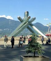  Das erloschene olympische Feuer