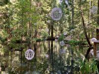 Der verzierte kleine Teich