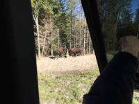 223 Omega Wildpark