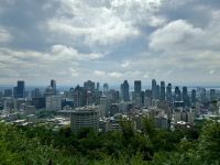 2. Tag – Stadtrundfahrt in Montréal – Blick auf das Stadtzentrum vom Mont Royal