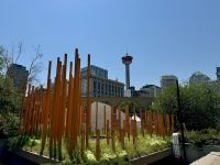 7. Tag – Ankunft im Westen – Olympic Plaza in Calgary