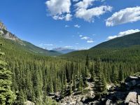 8. Tag – Banff-Nationalpark – Wälder am Moraine Lake