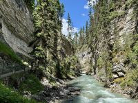 8. Tag – Banff-Nationalpark – Spaziergang im Johnston Canyon