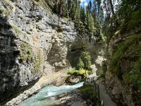 8. Tag – Banff-Nationalpark – Spaziergang im Johnston Canyon