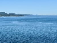 13. Tag – Fakultativer Ausflug nach Vancouver Island – Überfahrt mit Orca-Sichtung