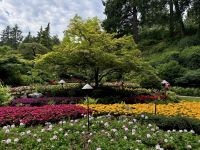 13. Tag – Fakultativer Ausflug nach Vancouver Island – Besuch der Butchart Gardens – Sunken Garden