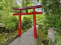 13. Tag – Fakultativer Ausflug nach Vancouver Island – Besuch der Butchart Gardens – Japanischer Garten