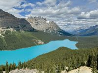 9. Tag – Icefields Parkway – Fotostopp am Peyto Lake