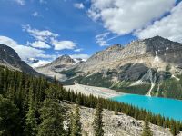 9. Tag – Icefields Parkway – Fotostopp am Peyto Lake