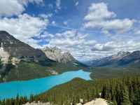9. Tag – Icefields Parkway – Fotostopp am Peyto Lake