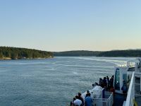 13. Tag – Fakultativer Ausflug nach Vancouver Island – Rückfahrt nach Vancouver mit erneuter Orca-Sichtung