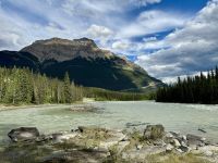 9. Tag – Icefields Parkway – An den Athabasca Falls