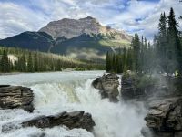 9. Tag – Icefields Parkway – An den Athabasca Falls