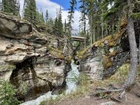 9. Tag – Icefields Parkway – An den Athabasca Falls