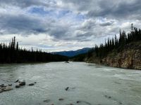 9. Tag – Icefields Parkway – An den Athabasca Falls