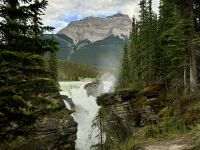 9. Tag – Icefields Parkway – An den Athabasca Falls