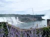 Niagara Fälle (5)