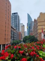 St.Lawrence Market (2)