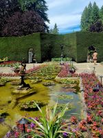 Blumenmeer Buchart (2)