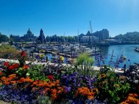 Pitoreske City Victoria (1)