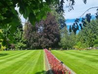 Motive aus Buchards Garden (2)