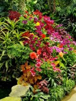 Motive aus Buchards Garden (3)