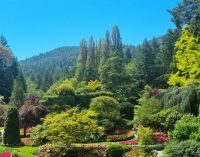 Motive aus Buchards Garden (4)