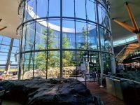 Vancouver Airport (4)