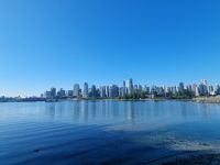 Skyline Down Town (2)