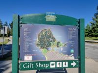 Stanley Park Totem (1)