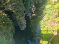 Capilano Regenwald (1)