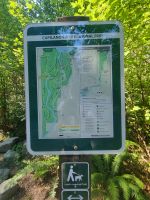 Capilano Regenwald (13)