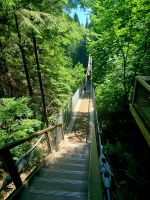 Capilano Suspension Bridge (1)