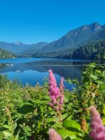 Cleveland Stausee Damm (1)