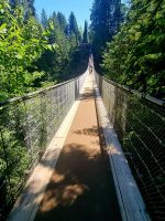 Capilano Suspension Bridge (2)