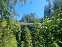 Capilano Suspension Bridge (11)