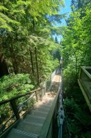 Capilano Suspension Bridge (13)