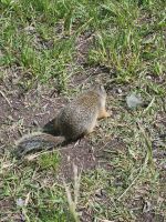 Putzige Begegnung (4)