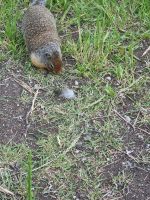 Putzige Begegnung (2)