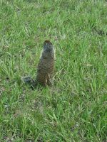 Putzige Begegnung (1)