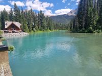 Emerald Lake (7)