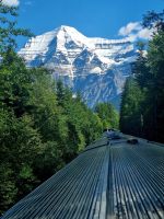 Selten schön Mount Robson (5)