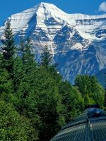 Selten schön Mount Robson (4)