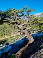 Impressionen Banff Palace Hotel (2)