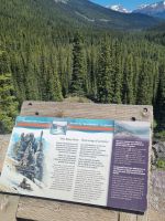 Lake Morraine - so blau (9)