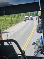 Tierische Begegnungen (2)