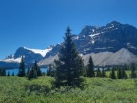 Bow see und Gletscher (6)