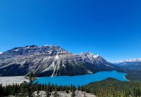 Peyto Lake noch blauer (2)