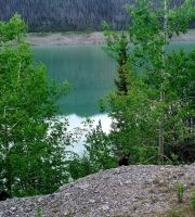 Wundervolle tierische Begegnung (18)