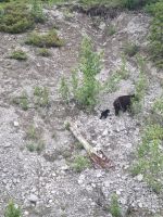 Wundervolle tierische Begegnung (22)